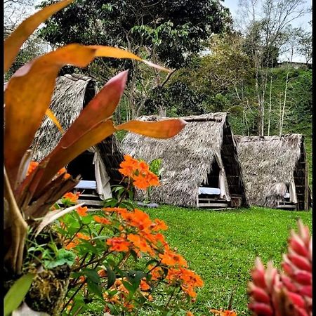 Bed and Breakfast Rancho Porvenir à Mocoa Extérieur photo