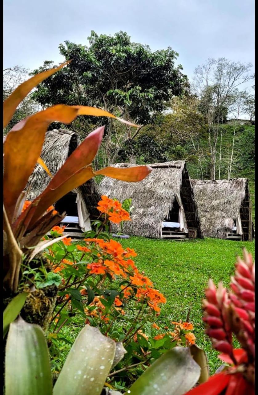 Bed and Breakfast Rancho Porvenir à Mocoa Extérieur photo